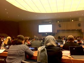 Am 22. März ist es jedoch geschafft: die UN-Mitgliedstaaten haben sich auf ein gemeinsames Abschlussdokument der 63. Frauenstatuskommission geeinigt. 