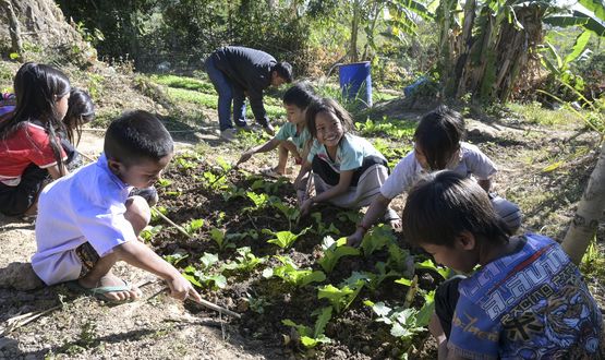 Laos: Wissen über gesunde Ernährung