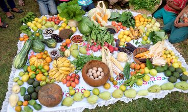 Ernährung